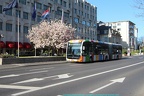 0425202