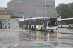0626061